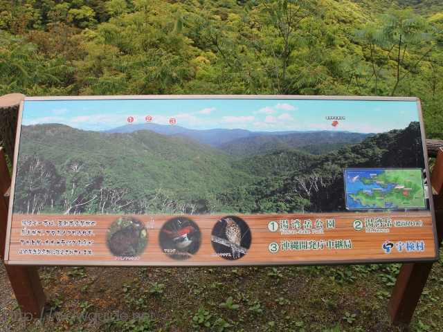 奄美大島の赤土山展望台から見た湯湾岳