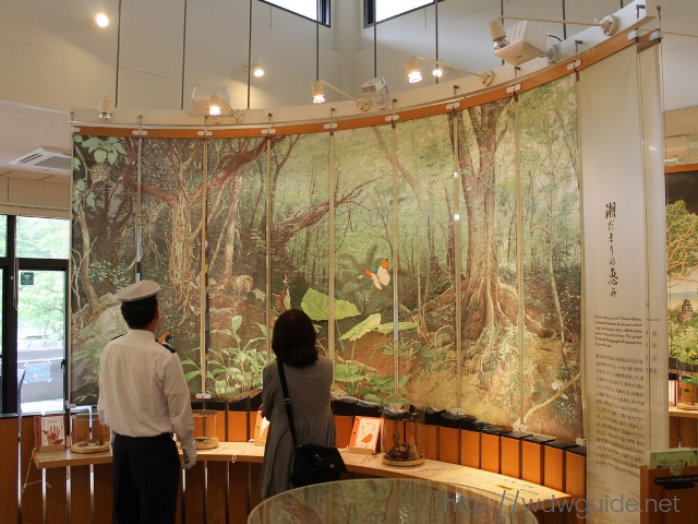 奄美野生生物保護センターの展示物